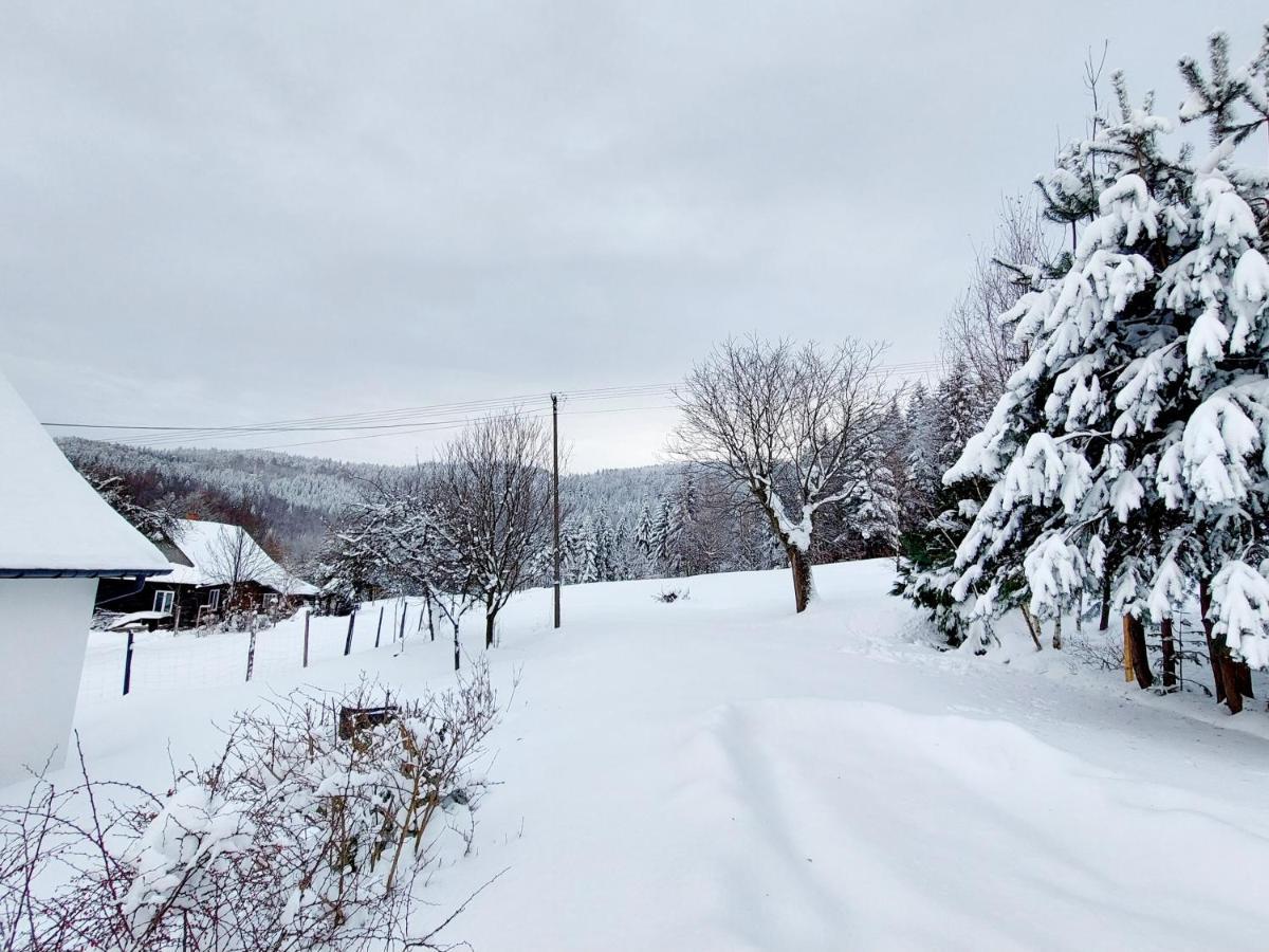 Beskidzka Oaza Holiday home